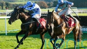 Darrens Hope springs Florida Pearl surprise