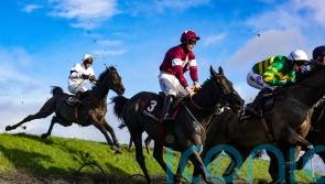 Delta made to work for Punchestown win