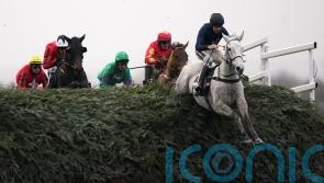 Snow Leopardess preparing for Becher Chase defence