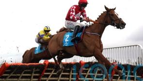 Pied Piper will miss Constitution Hill and Epatante showdown