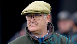 Smart prospect Maximilian could go to Cheltenham, with options limited