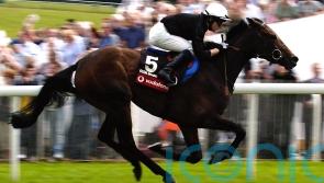 Ed Dunlop pays tribute following death of Ouija Board