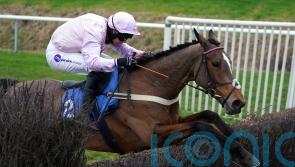 Anightinlambourn having deserved break before Festival target
