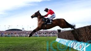 Ahoy Senor seeking return to winning ways in Many Clouds test