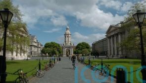 Trinity College considers what to do with 400-year-old skulls stolen from island