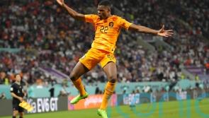 Netherlands see off USA to reach World Cup quarter-finals