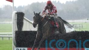 Mighty Potter delivers impressive Drinmore success