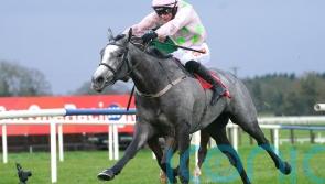 Lossiemouth makes Fairyhouse splash on Irish debut