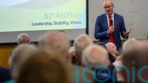 Russian invasion of Ukraine and veto undermines Security Council: Irish minister