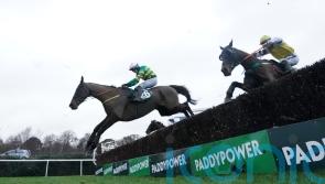Aintree the aim once more for Enjoy D&rsquo;Allen