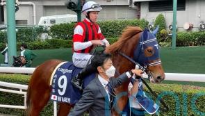 Win Marilyn swoops late for Hong Kong Vase victory