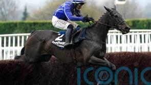 Cork card gets the go-ahead for Energumene return