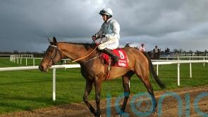 De Bromhead open to Mares&rsquo; Hurdle option with Honeysuckle