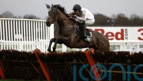 Kempton could be it for Constitution Hill before Cheltenham