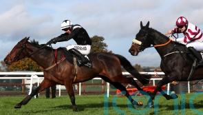 Murphy to bide his time with Impervious