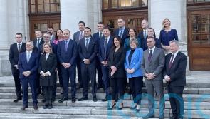 Varadkar promotes two of his TDs as new team of junior ministers unveiled