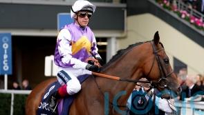 Dettori backed to make his final year as good as ever