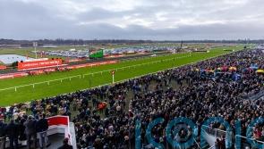 Kempton team poised for &lsquo;sensational&rsquo; Boxing Day card
