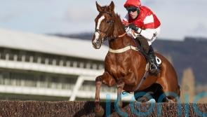 The Big Breakaway seeking more Welsh National glory for Tizzards