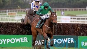 Grade One Rewards for Blue Lord at Leopardstown