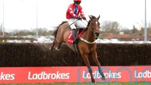 Editeur Du Gite shocks Desert Orchid rivals