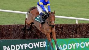 Dysart Dynamo stakes Arkle claim with impressive chase debut