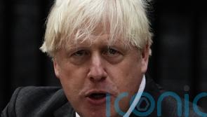 Johnson urged Irish Government to adopt &lsquo;hard-egg approach&rsquo; to NI peace process