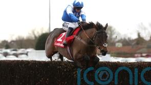 Boothill to bypass Cheltenham rematch with Jonbon