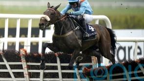 Marie&rsquo;s ready to rock on Cheltenham return