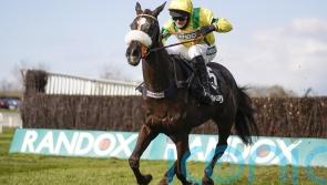 Happygolucky day in store at Cheltenham for Bailey