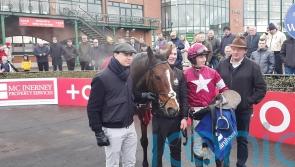 O&rsquo;Brien sights set on Cheltenham with Scarlet And Dove