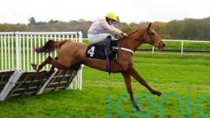 Luccia and Authorised Speed on course for Tolworth showdown