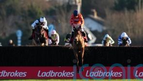 Bravemansgame and Hermes Allen straight to Cheltenham, confirms Nicholls