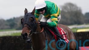 Any Second Now on course for third crack at National glory