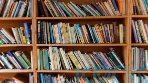 Number of indie bookshops in Ireland and UK reaches 10-year high after 'astonishing' growth