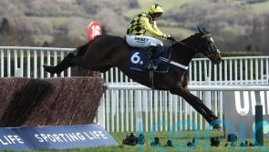 Shishkin plans on hold after palate issue discovered