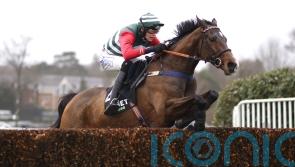 Xcitations gives Pam Sly plenty to celebrate at Sandown