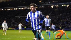 Josh Windass double sees League One Sheffield Wednesday beat Newcastle in FA Cup