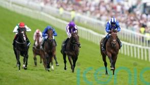 Hukum back in training after injury break