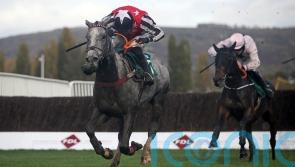 Lewis looks to Festival novice events with Straw Fan Jack