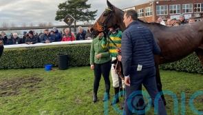 Guetapan Collonges expected to thrive for Warwick stamina test