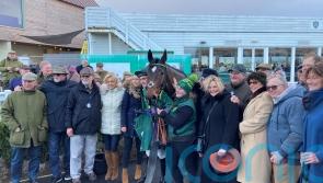 Bushypark back in business with North Yorkshire Grand National win