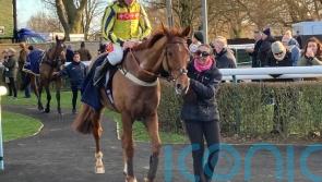 Perseus Way out in front in Chatteris Fen victory