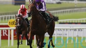 Little Big Bear crowned top juvenile in Europe for last year