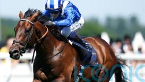 Baaeed the world&rsquo;s best on turf &ndash; and only Flightline ranked higher