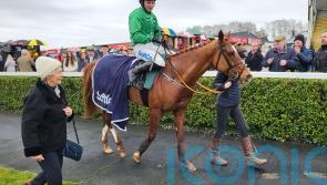 No anchoring HMS Seahorse at Navan