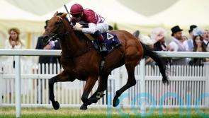 Saudi Cup meeting one of the options for Missed The Cut