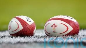 Welsh Rugby Union accused of &lsquo;toxic culture&rsquo; of sexism by ex-employees