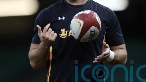 Scott Baldwin replaces injured Ospreys team-mate Dewi Lake in Wales squad