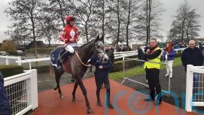 Doctor Bravo stars in Down Royal double for Elliott